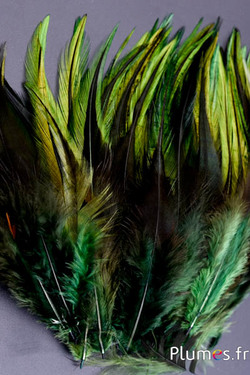 Coq flammé - 10-15 cm - vert sapin